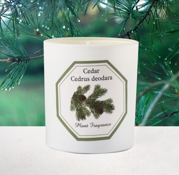 Wholesale Scented Candle Natural Frangrance Soy Wax Handmade Candle - Image 4